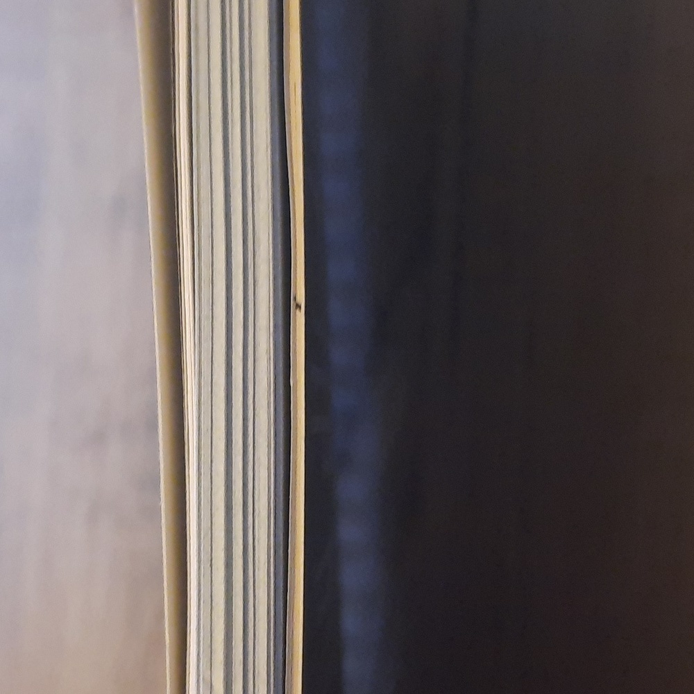Secret Journal " The Hunger Games" Handmade journal - Picture 7 of 7
